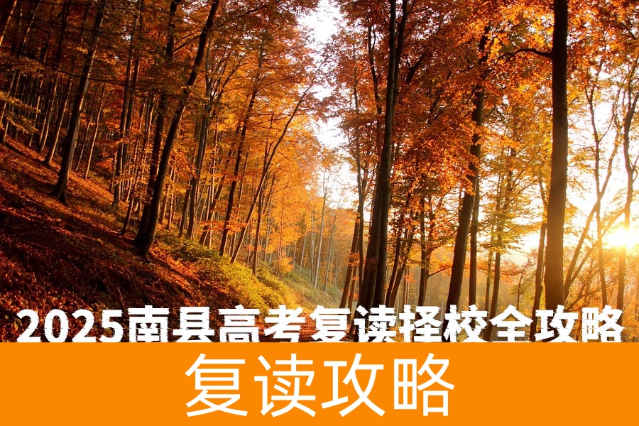 2025南县高考复读择校全攻略:本地名校解析与长沙优质资源对比